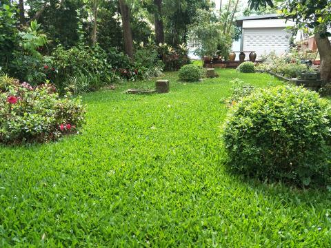 新竹綠的空間-園藝美化工程 - 