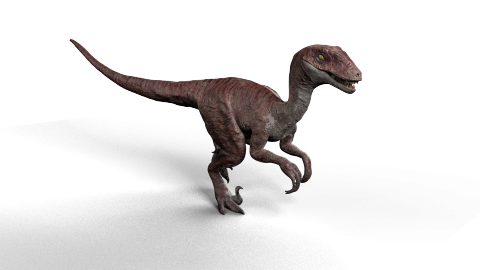 陳儀薇 - 2017 Raptor Project
Shader / Rig / Animation / Lighting / Render