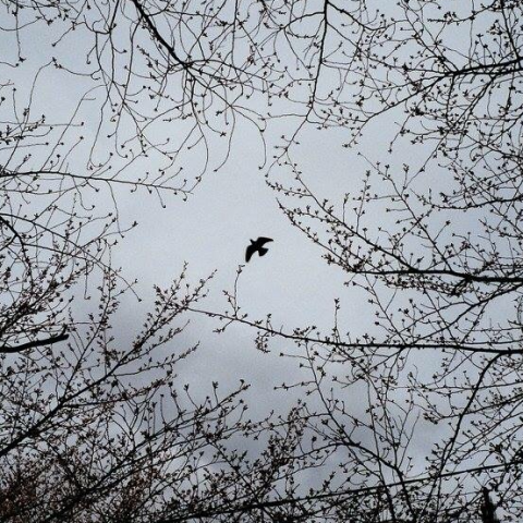 提供攝影燈服務的專家OJ&rsquo;人像攝影