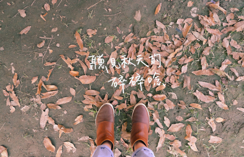 kayamushroom - 攝影、插圖、平面設計