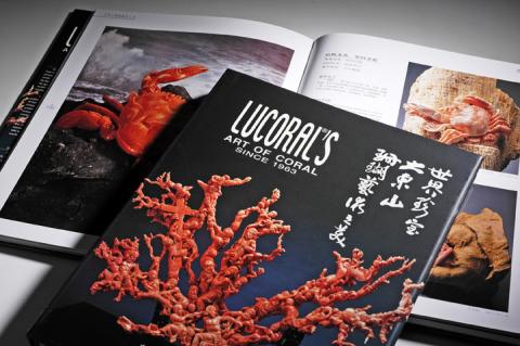 蒲公英設計攝影 - 