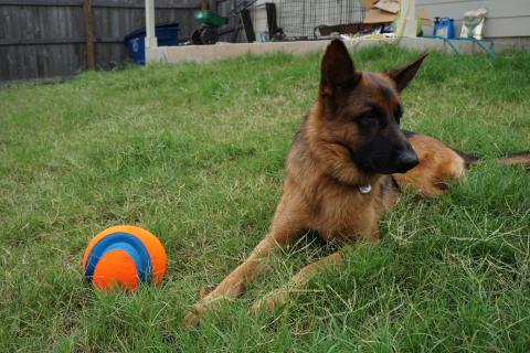 Cindy Chen - just wanna play:(