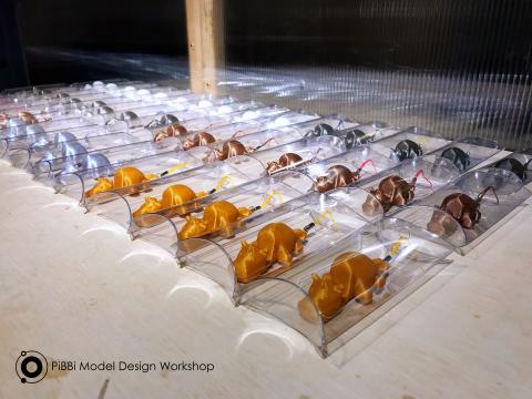 Pibbi Model Design 皮比模型設計 - 3D列印微量產