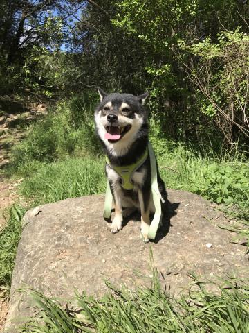 Cindy Chen - cute boy named Ojiang!