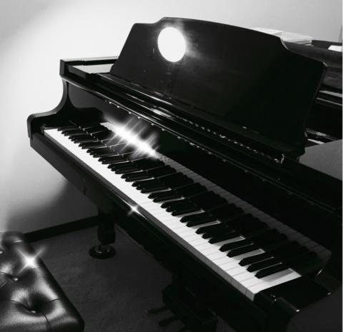 楊老師 - 上課使用琴