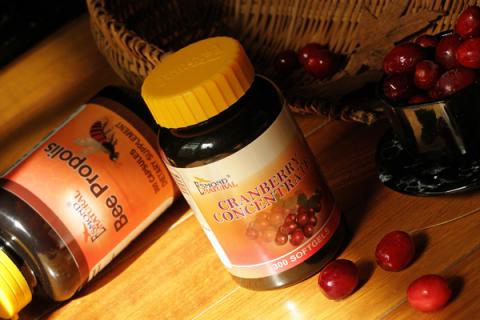 蒲公英設計攝影 - 