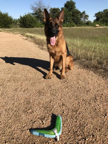 Cindy Chen - love the sunny day