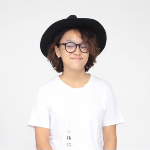 提供wix缺點服務的專家SHEN