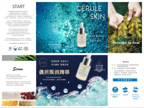 Tina - 護膚品摺頁DM