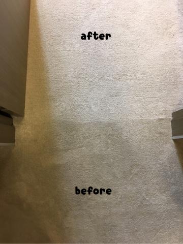 新增記（專業地毯清潔） - 固定式居家地毯清洗