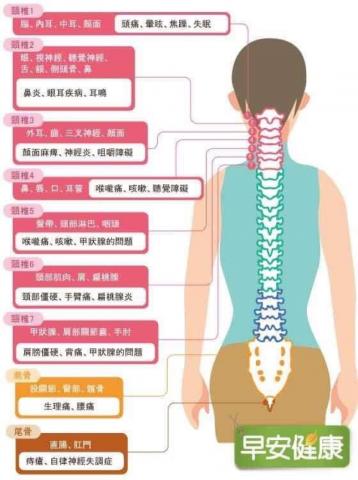 美甲詩 - 現代人喜歡推拿或按摩?&zwj;♀️
在精油教學使用中
也是教導每日塗抹於脊椎及腳底的使用方式

【腳底按摩】
屬於民俗療法的一種。依中醫理論，足部如同耳朵、手掌等部位，都可反映出全身器官；因此，藉由按摩足部可促進血液循環、新陳代謝及帶出體內毒素等益處。
腳底如同人的第二個心臟，每日簡單的塗抹按壓，相信可以帶給身體極大的益處

【脊椎按摩】
身體的脊椎佈滿神經叢，簡單精油使用方式
每日選2~3樣精油，塗抹後畫圓揉按於脊椎二側，大人、小孩都能簡單學會喔~還能變成日後另一種的親子時間

