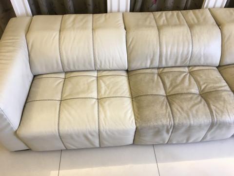 新增記（專業地毯清潔） - 皮沙發清洗