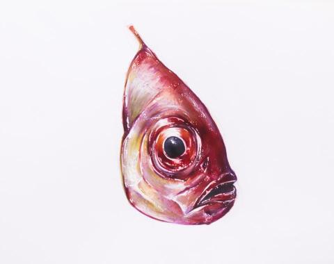 校校 - 【手繪作品】
使用工具-麥克筆、牛奶筆、炭精筆、色鉛筆，手繪可提供面交!