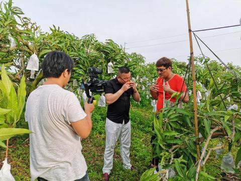 Gigo多媒體影像 - 為知名台語歌手『楊哲』拍攝他自己的芒果果園紀錄片！