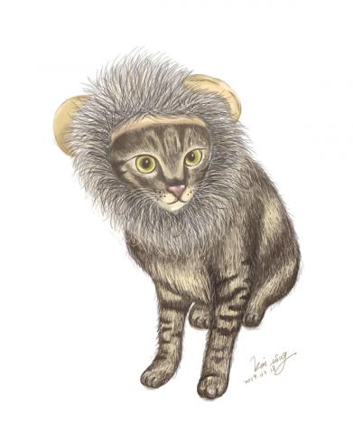 Ning studio - 客製化寵物插畫