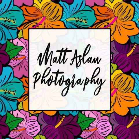 Matt Aslan Photography - 提供寵物攝影的專家 Matt Aslan Photography - 提供寵物攝影的專家