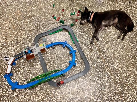 提供行銷企劃企劃書範例服務的專家Ann