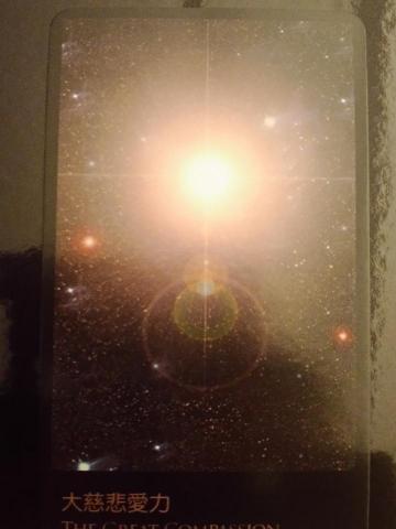 軟創會 - 最美的照片