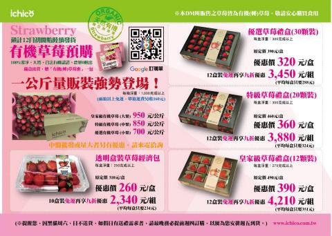 菓平方文化事業 - DM設計 草莓傳單