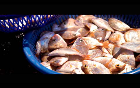 多角藝術影像工作室 - 美麗基隆，城市形象宣傳片作品截圖。