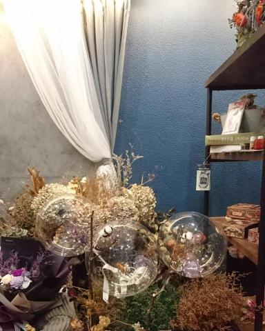 雛燕 - 午茶店練拍