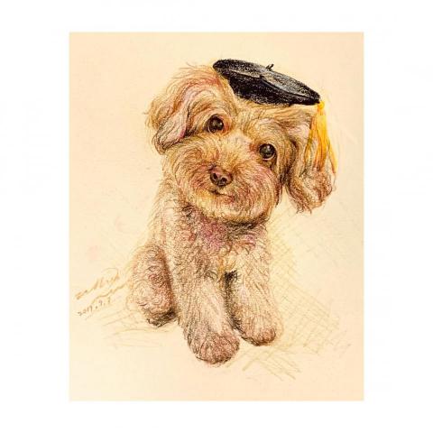 三良人工作室 - 色鉛筆手繪及設計