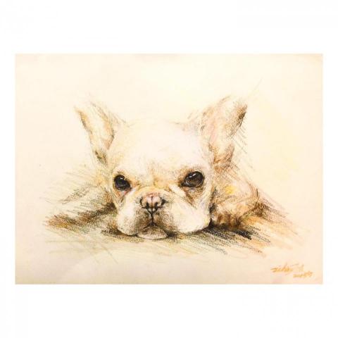 三良人工作室 - 色鉛筆手繪及設計