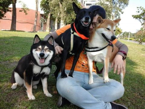 個人工作室 - 一次最多曾帶過3隻中型犬一起去玩~
