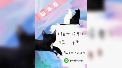 提供保母服務的專家貓本屋- 貓咪保母