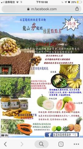 吳梅芬 - 活动宣傳海報A1