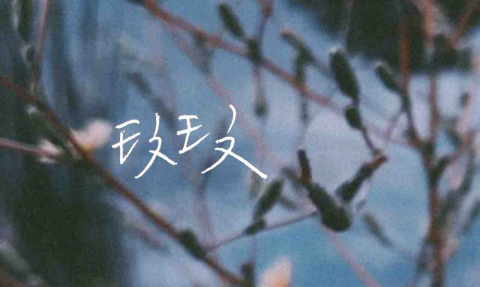 提供化妝品收納盒服務的專家洪小姐