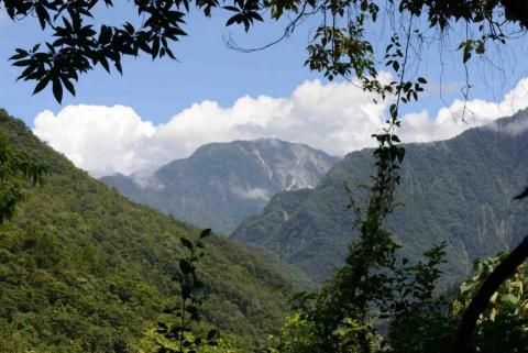 張美美稅務記帳士事務所 - 