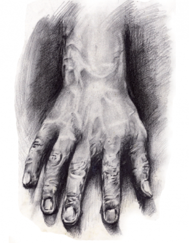 sunshine - 老人的手