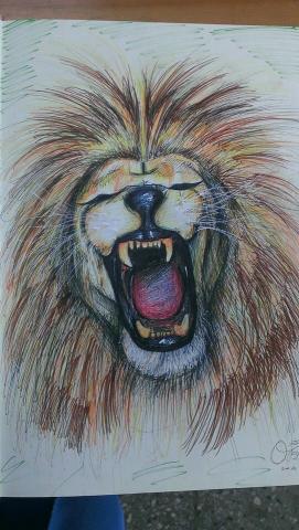 sunshine - 原子筆+螢光蠟筆 4H 完成