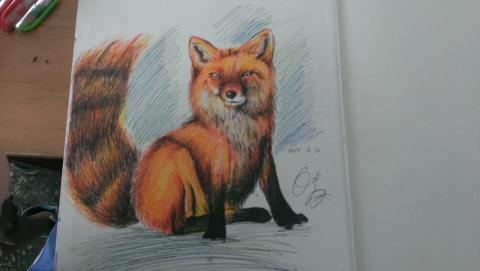 sunshine - 原子筆+螢光蠟筆 3H完成