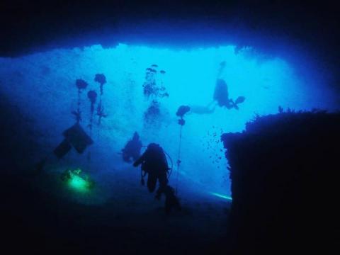 Grassroot Academy 草根學院 - 潛水教學 | 秘境行程規劃