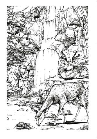 孫全慧 - 明信片繪製