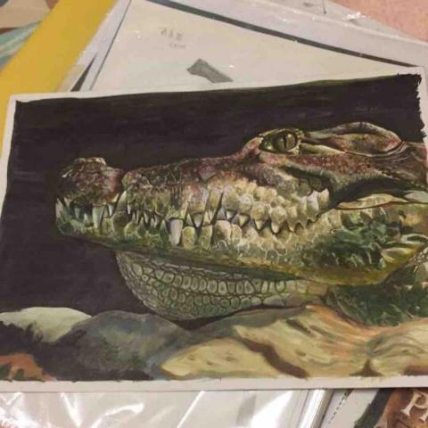 恩恩素描 - 媒材:麥克筆 色鉛筆 牛奶筆