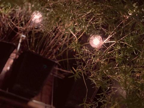 蔣聿淇 - 攝影 | 後製後