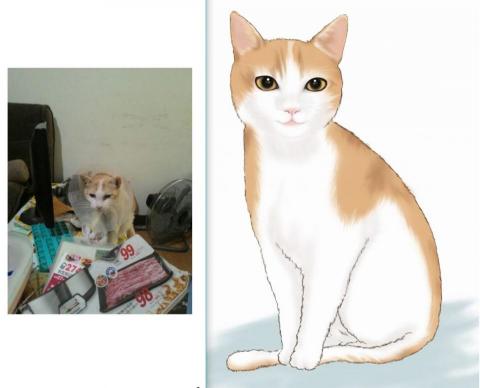 Alice插畫&平面設計 - 寵物畫像