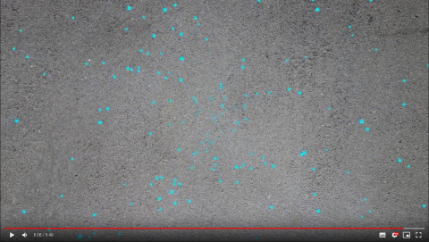 劉瑋軒 - AE特效