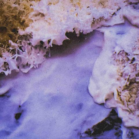 Simon Fang - 個人創作