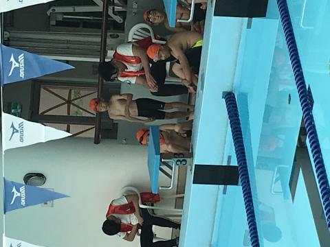 Y體系游泳教練 - 比賽體驗