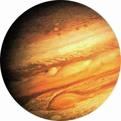 提供印章盒子服務的專家forest1980