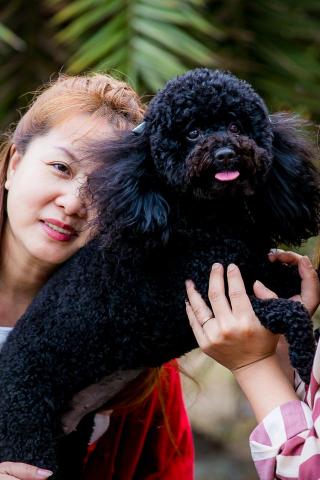 喬喬森影像 - 寵物寫真