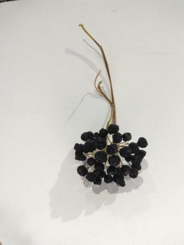 提供125服務的專家王小姐