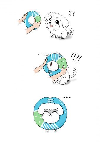 KumaRu 阿嚕 - 毛小孩/預防咬傷口的甜甜圈