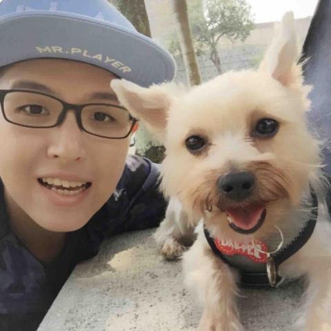 叮叮寵物寄養 - 幫朋友照顧 約克夏絨絨