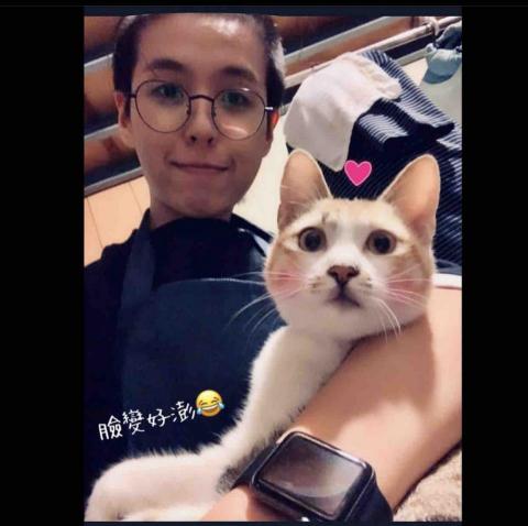 叮叮寵物寄養 - 貓二女兒