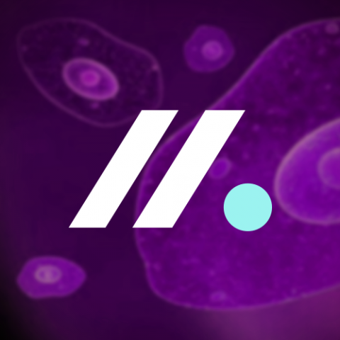 提供ui ux服務的專家HUI-YI